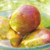 アップルマンゴー　妖艶な沖縄フルーツ